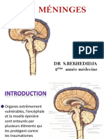 14-Les Meninges