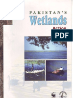 Wetlands Action Plan - Pakistan