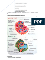 Form 4 Biology (Chapter 2: Cell Structure & Cell Organisation)