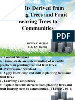 Benefits Derived From Planting Trees and Fruit Bearing Trees To Communities