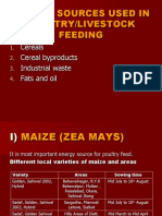 Energy Sources Used in Poultry/Livestock Feeding