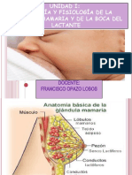 CLASE 2 AnatomÃ - A de La LM 2020