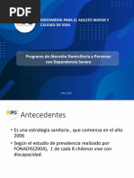 Programa Atención Domiciliaria A Personas Con Dependencia Severa.