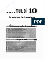 Programa de Incentivos PDF