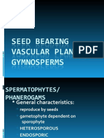 BOT 3:gymnosperms