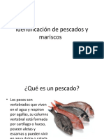 Id de Pescados y Mariscos