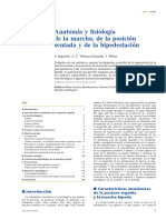 Anatomía y Fisiología de La Marcha, de La Posición Sentada y de La Bipedestación PDF