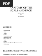 Anatomy of The Scalp and Face