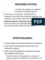 The Endocrine System