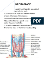 Thyroid Gland