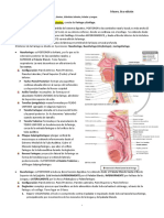 Faringe, Esofago y Estómago EDP