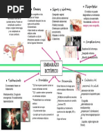Embarazo Ectopico