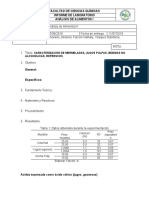 INFORME-7 - Caracterizacion Bebidas