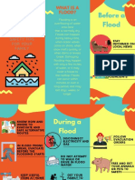 Flood Emergency Plan Final