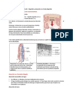 Capítulo 66 - Digestión y Absorción en El Tubo Digestivo