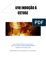 Desafio Indução À Cetose I