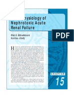 Pathophysiology of Nephrotoxic Acute Renal Failure