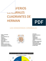 Hemisferios Cerebrales Hermann