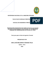 Caoba PDF