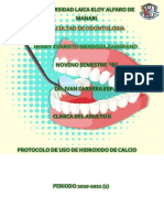 Protocolo de Uso de Hidroxido de Calcio