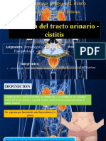 Infección Del Tracto Urinario - Cistitis