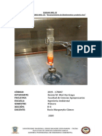 PRACTICA DE LABORATORIO NRO 5 Reconocimiento de Bioelementos o Biogenesicos. (Finalizado)