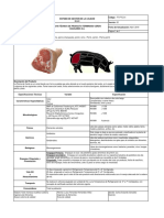 Ficha Tecnica Pierna PT 01