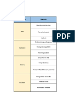 Programme Safety Meeting