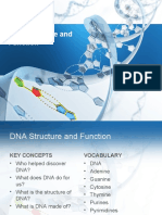 DNA Structure and Function