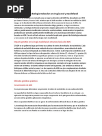 Aplicaciones de La Biología Molecular en Cirugía Oral y Maxilofacial Resumen