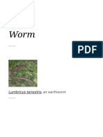 Worm - Wikipedia