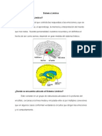 Sistema Límbico