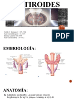 Paratiroides Expo