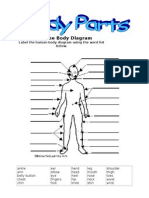 Body Parts Worksheet Quiz 1