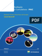 Petrobas PDF