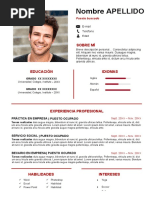 62 Curriculum Vitae Primer Empleo