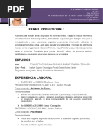 9 Curriculum Vitae Profesional Gris