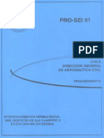 Pro Ssei 01 20110209 PDF