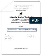 BelabasLynda ChemounLila PDF