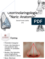 Anatomia de Nariz y Senos Paranasales