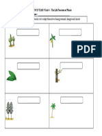 The Life Processes of Plants B