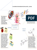 Características de Las Bacterias