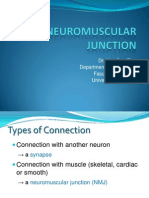 Neuromuscular Junction