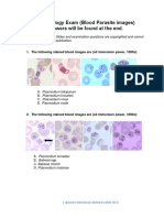 Parasitology Exam (Blood Parasite Images) Answers Will Be Found at The End