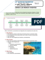 X Clase Virtual 4to Cya Conociendo Los Reinos Vivientes