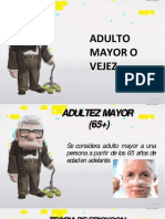 Adulto Mayor Clasificación PDF