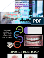 Nomenclatura Dental