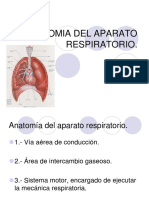 1.anatomia y Fisiologia Del Aparato Respiratorio