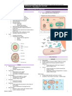 MV Lec PDF