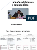 Metabolism of Acylglycerols and Sphingolipids: DR - Qasim AL-Daami